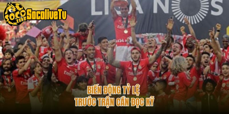Biến động tỷ lệ trước trận cần đọc kỹ