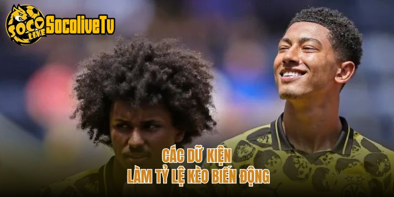 Các dữ kiện làm tỷ lệ kèo biến động