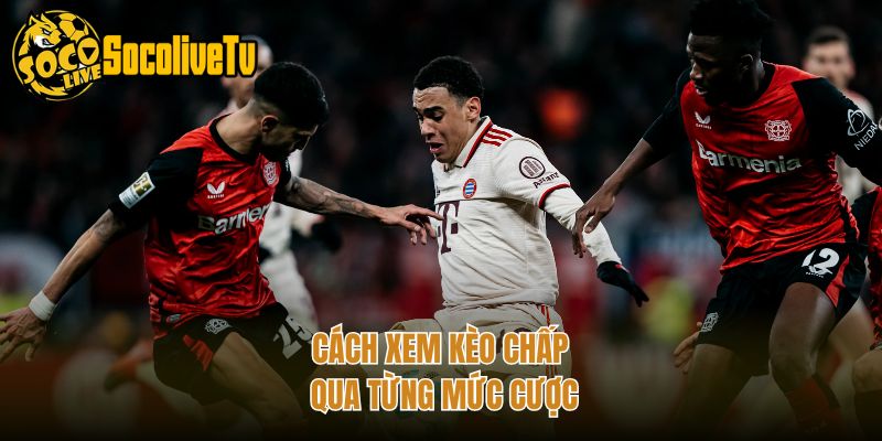 Cách xem kèo chấp qua từng mức cược