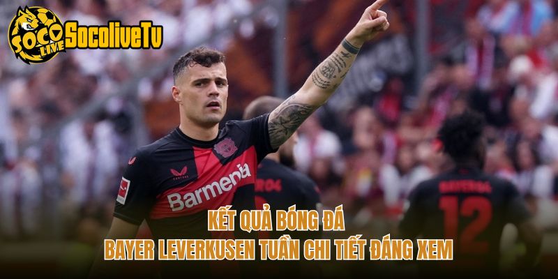 Kết Quả Bóng Đá Bayer Leverkusen Tuần Chi Tiết Đáng Xem