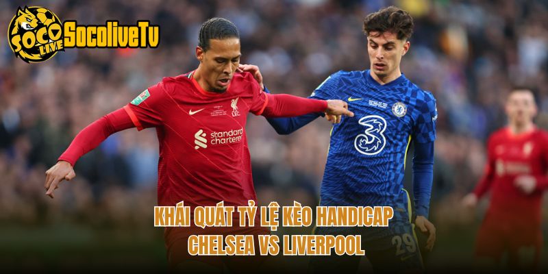 Khái quát tỷ lệ kèo handicap Chelsea vs Liverpool
