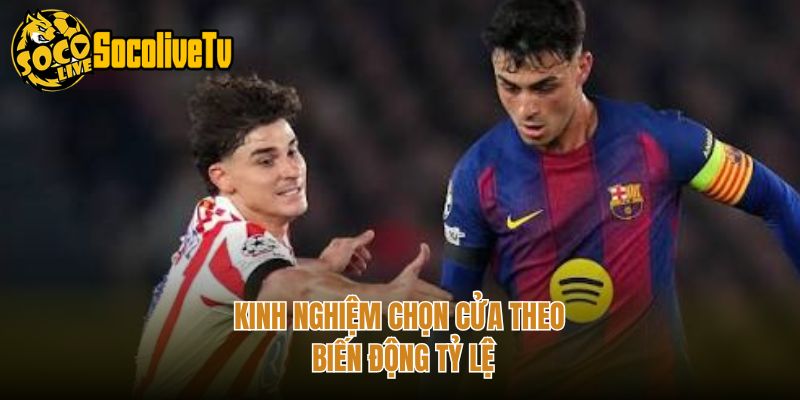 Kinh nghiệm chọn cửa theo biến động tỷ lệ