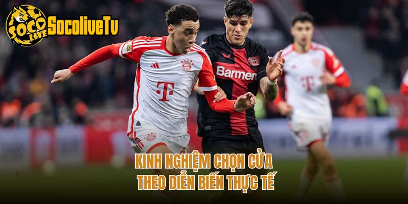 Kinh nghiệm chọn cửa theo diễn biến thực tế