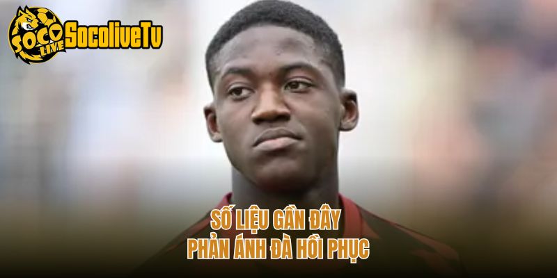 Số liệu gần đây phản ánh đà hồi phục