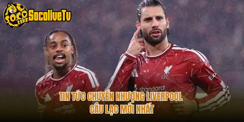 Tin tức chuyển nhượng Liverpool câu lạc mới nhất