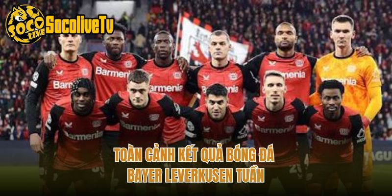 Toàn cảnh kết quả bóng đá Bayer Leverkusen tuần